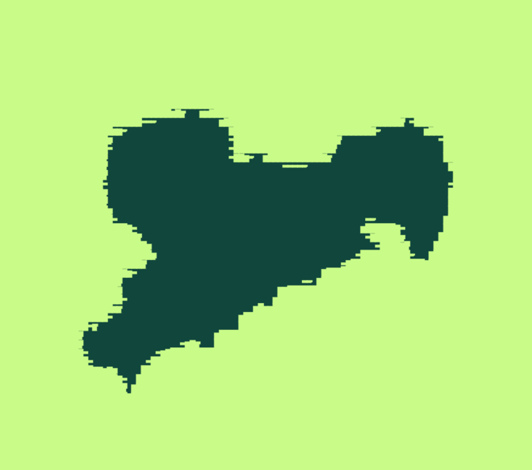 Digital-pattern_Sachsen1